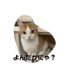 ポチスタンプ1（個別スタンプ：4）