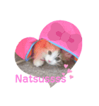 猫のぱみゅ（個別スタンプ：1）