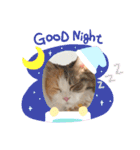 猫のぱみゅ（個別スタンプ：2）
