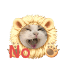 猫のぱみゅ（個別スタンプ：5）