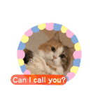 猫のぱみゅ（個別スタンプ：7）
