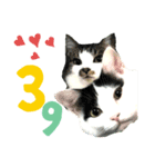 KUNIYAスタンプ2（個別スタンプ：4）