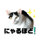 KUNIYAスタンプ2（個別スタンプ：8）