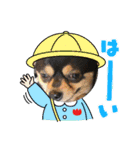 ごんchan2（個別スタンプ：12）