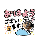 ごんchan2（個別スタンプ：13）