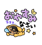 ごんchan2（個別スタンプ：14）