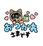 ごんchan2（個別スタンプ：15）