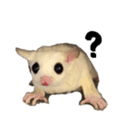 にゅーちゃんとぴぴ（個別スタンプ：2）