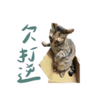 汚い男の子-友達（個別スタンプ：25）