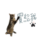 汚い男の子-友達（個別スタンプ：26）