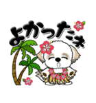 シーズー犬65『ハワイ』（個別スタンプ：33）