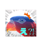 ズグロな乙女スタンプ（個別スタンプ：1）