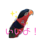 ズグロな乙女スタンプ（個別スタンプ：5）