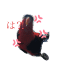 ズグロな乙女スタンプ（個別スタンプ：6）