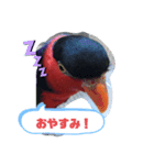ズグロな乙女スタンプ（個別スタンプ：7）