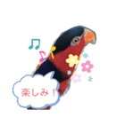 ズグロな乙女スタンプ（個別スタンプ：8）
