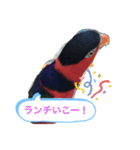 ズグロな乙女スタンプ（個別スタンプ：10）