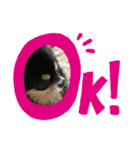 ランココすたんぷ（個別スタンプ：1）