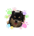 ランココすたんぷ（個別スタンプ：3）