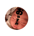 日常りょーちゃん（個別スタンプ：27）