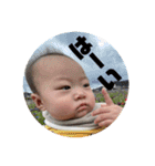 日常りょーちゃん（個別スタンプ：29）