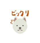 和犬すたんぷ（個別スタンプ：28）