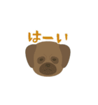 和犬すたんぷ（個別スタンプ：38）