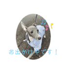 テオwithまぐろ（個別スタンプ：3）