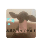 テオwithまぐろ（個別スタンプ：5）