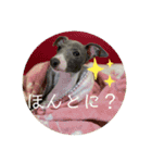 テオwithまぐろ（個別スタンプ：10）