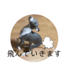 テオwithまぐろ（個別スタンプ：12）