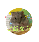テオwithまぐろ（個別スタンプ：14）