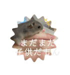 テオwithまぐろ（個別スタンプ：15）
