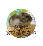 テオwithまぐろ（個別スタンプ：16）