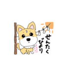 くつした犬のココ（個別スタンプ：27）