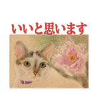 猫々敬語（個別スタンプ：3）