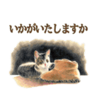 猫々敬語（個別スタンプ：4）