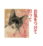 猫々敬語（個別スタンプ：8）