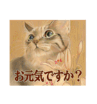 猫々敬語（個別スタンプ：11）