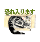 猫々敬語（個別スタンプ：21）