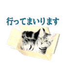 猫々敬語（個別スタンプ：22）