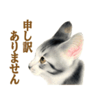 猫々敬語（個別スタンプ：24）