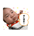 うーたん stamp（個別スタンプ：3）