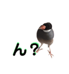 鳥あえず(日常)（個別スタンプ：2）