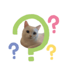 猫- 飯飯 X ミルク X クリスタル（個別スタンプ：5）