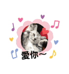 猫- 飯飯 X ミルク X クリスタル（個別スタンプ：26）