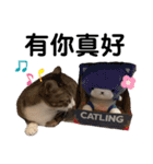 猫- 飯飯 X ミルク X クリスタル（個別スタンプ：28）
