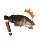 魚三昧ver7（個別スタンプ：15）