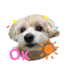 らんレオ（個別スタンプ：12）