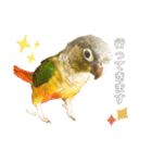 ウロコインコのもみじ②（個別スタンプ：3）